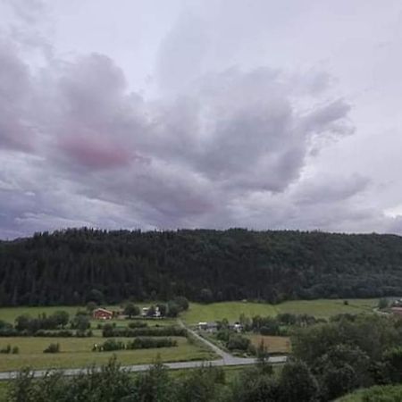 דירות Leirfjord Skogan מראה חיצוני תמונה
